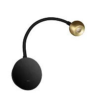 Бра с выключателем LED Point 10254 Brass LOFT IT латунь 1 лампа, основание чёрное в стиле хай-тек гибкая ножка для чтения