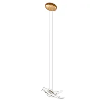Светильник подвесной LED Voa 10378P LOFT IT прозрачный на 1 лампу, основание античное бронза в стиле современный флористика арт-деко ветви птички