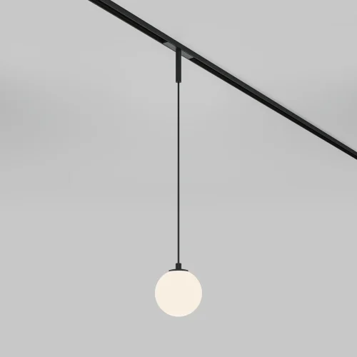 Трековый светильник LED Magnetic track system Basity TR178-1-5WTW-B Maytoni белый для шинопроводов серии Magnetic track system Basity чёрный фото 4