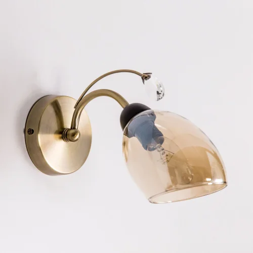 Бра Комета CL108315 Citilux прозрачный янтарный на 1 лампа, основание бронзовое в стиле современный  фото 2