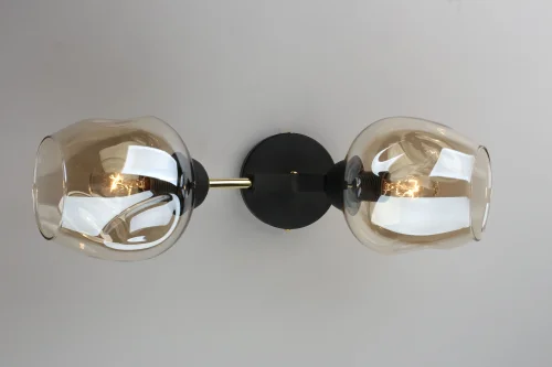 Бра Savelletri OML-93701-02 Omnilux прозрачный серый на 2 лампы, основание чёрное в стиле лофт  фото 2