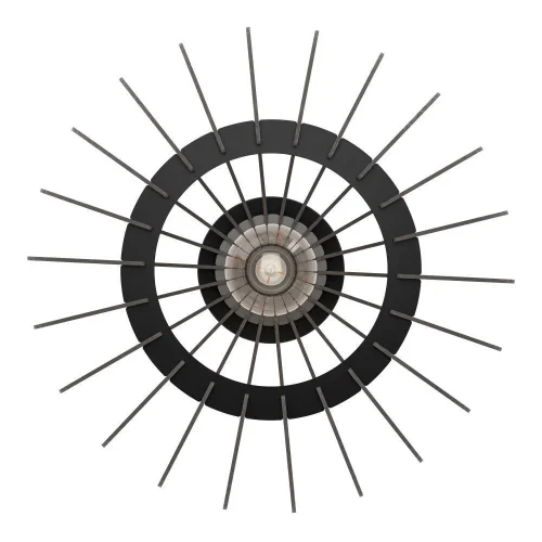 Светильник потолочный Cossano 900999 Eglo чёрный на 1 лампу, основание чёрное в стиле современный кантри фото 3 Светильник потолочный Cossano 900999 Eglo чёрный на 1 лампу, основание чёрное в стиле современный кантри фото 3