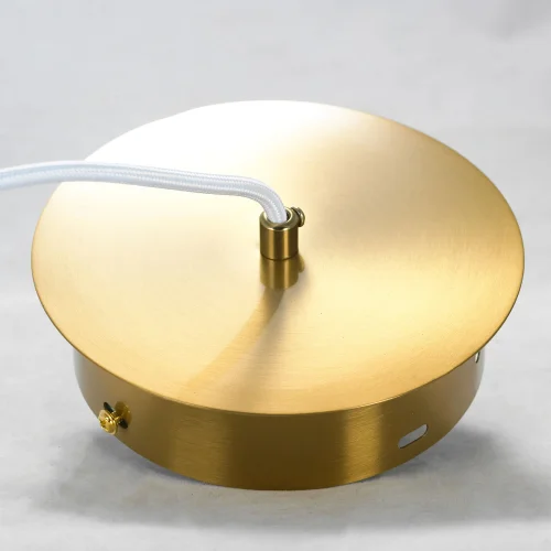 Светильник подвесной LED LSP-8692 Lussole белый 1 лампа, основание матовое золото в стиле хай-тек  фото 4