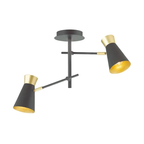 Люстра потолочная лофт Liam 3790/2C Lumion золотая чёрная на 2 лампы, основание чёрное в стиле лофт  фото 2