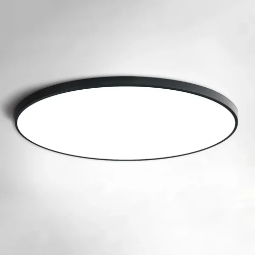 Светильник потолочный SLIM D40 Черный 178457-26 ImperiumLoft белый на 1 лампу, основание чёрное в стиле современный 