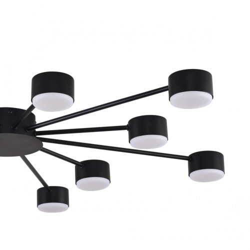 Светильник потолочный Torina 8344/12C Lumion чёрный на 12 ламп, основание чёрное в стиле минимализм фото 6