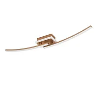 Светильник потолочный Lungolago 901219 Eglo бронзовый на 1 лампу, основание бронзовое в стиле современный хай-тек Светильник потолочный Lungolago 901219 Eglo бронзовый на 1 лампу, основание бронзовое в стиле современный хай-тек