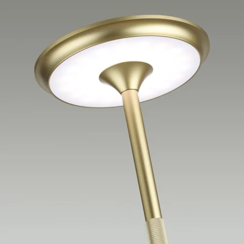 Настольная лампа LED DIMM Tet-A-Tet 5033/6TL Odeon Light матовая золото 1 лампа, основание матовое золото металл в стиле современный  фото 6