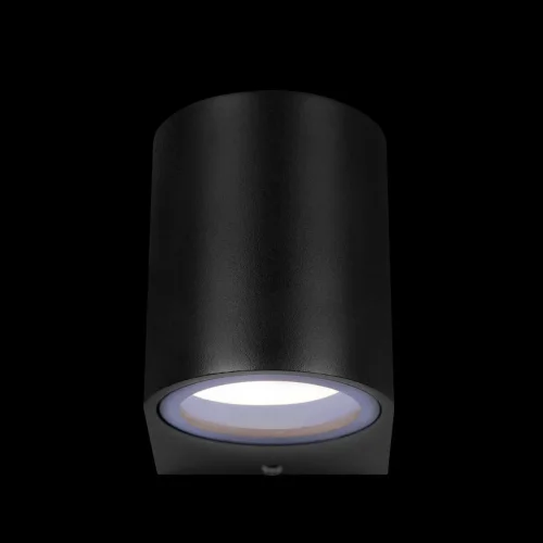 Настенный светильник Eterno 100006/A LOFT IT уличный IP54 чёрный 1 лампа, плафон чёрный в стиле современный хай-тек GU10 фото 4