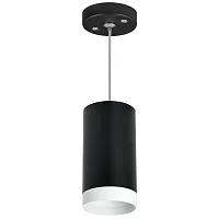 Светильник подвесной Rullo RP4373436 Lightstar чёрный 1 лампа, основание чёрное в стиле модерн хай-тек 