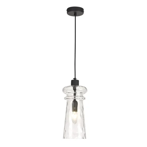 Светильник подвесной Pasti 4966/1 Odeon Light прозрачный 1 лампа, основание чёрное в стиле современный  фото 3