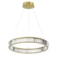 Светильник подвесной LED Vekia 5015/36L Odeon Light прозрачный 1 лампа, основание золотое в стиле современный кольца