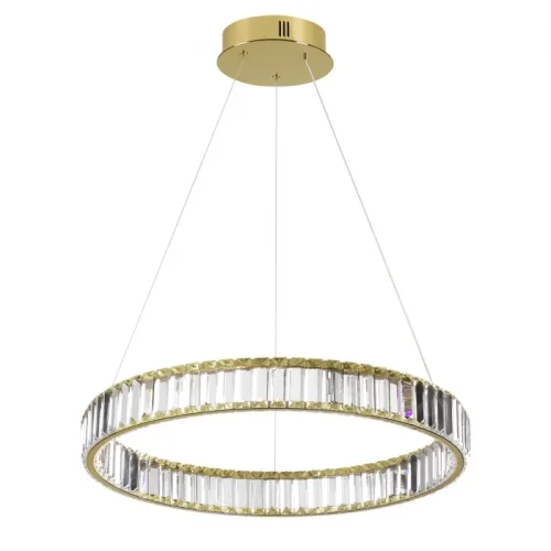 Светильник подвесной LED Vekia 5015/36L Odeon Light прозрачный на 1 лампу, основание золотое в стиле современный кольца