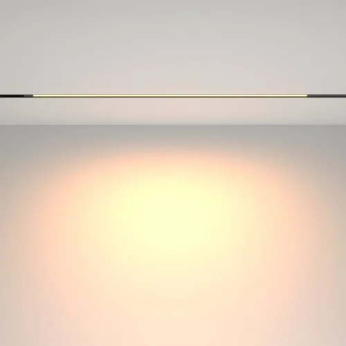 Трековый светильник LED Basis TR231-2-15W3K-B Maytoni чёрный для шинопроводов серии Basis чёрный фото 2 Трековый светильник LED Basis TR231-2-15W3K-B Maytoni чёрный для шинопроводов серии Basis чёрный фото 2