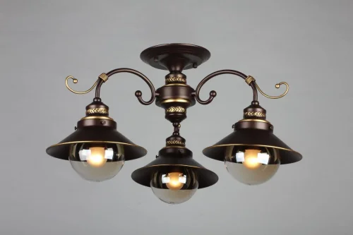 Люстра потолочная Fontelo OML-50407-03 Omnilux прозрачная на 3 лампы, основание коричневое в стиле кантри  фото 3