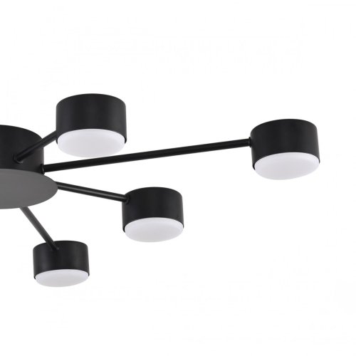 Светильник потолочный Torina 8344/8C Lumion чёрный на 8 ламп, основание чёрное в стиле минимализм фото 5