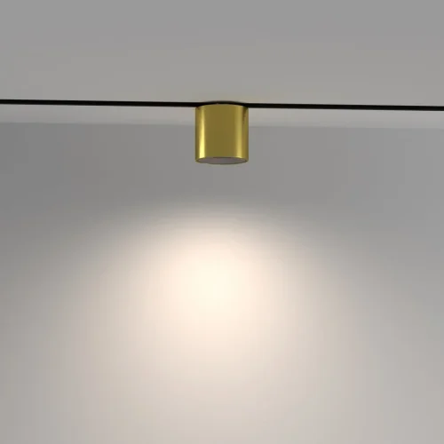 Трековый светильник LED Magnetic track system Exility TR132-4-7W-DS-BS Maytoni латунь для шинопроводов серии Magnetic track system Exility чёрный латунь фото 4