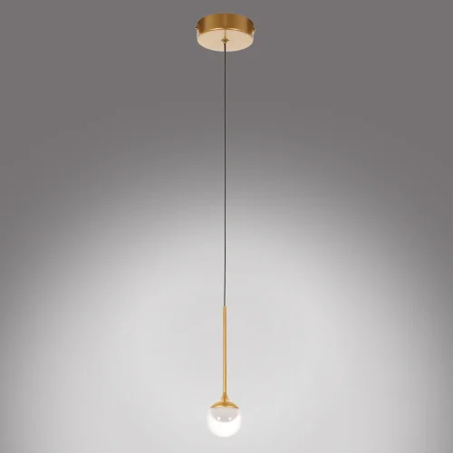 Светильник подвесной LED Kollins MR1060-1PL MyFar прозрачный 1 лампа, основание золотое в стиле современный хай-тек  фото 4