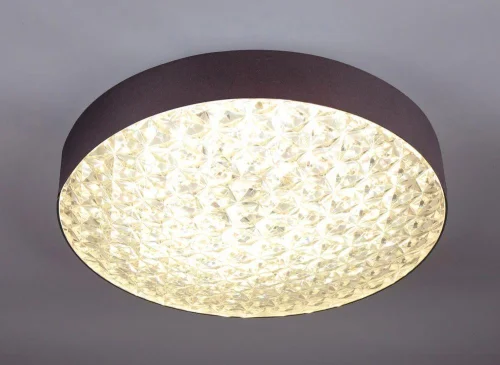 Светильник потолочный LED с пультом 10246/1LED Escada прозрачный 1 лампа, основание коричневое в стиле современный с пультом фото 3