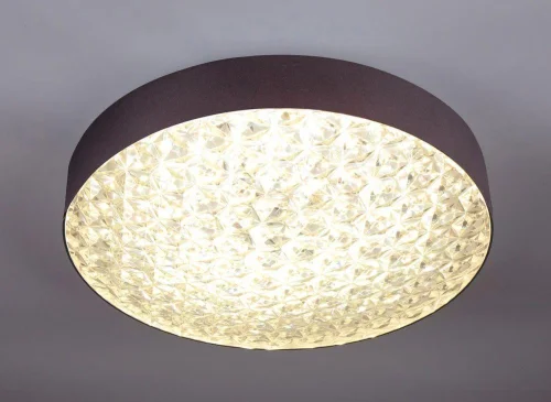 Светильник потолочный LED с пультом 10246/1LED Escada прозрачный на 1 лампу, основание коричневое в стиле современный с пультом фото 3