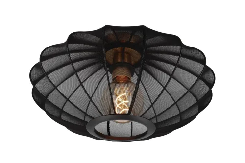 Светильник потолочный Corina 03147/40/30 Lucide чёрный 1 лампа, основание латунь матовое золото в стиле современный винтаж 