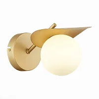 Бра Bolzano SLE220501-01 Evoluce белый 1 лампа, основание золотое в стиле современный 