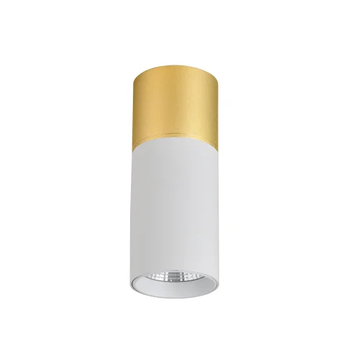 Светильник накладной LED Deepak 3073-1C Favourite белый 1 лампа, основание золотое в стиле современный круглый фото 2