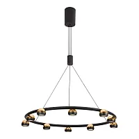 Люстра подвесная LED Lassen LSP-7253 Lussole чёрная золотая на 10 ламп, основание чёрное в стиле лофт современный 