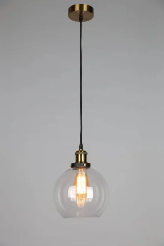 Светильник подвесной лофт Florentina OML-90706-01 Omnilux прозрачный 1 лампа, основание бронзовое в стиле лофт  фото 2