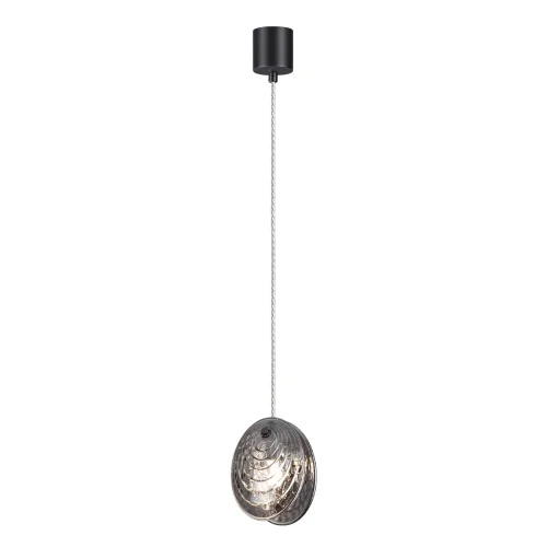 Светильник подвесной Mussels 5038/1A Odeon Light чёрный серый 1 лампа, основание чёрное в стиле современный  фото 3