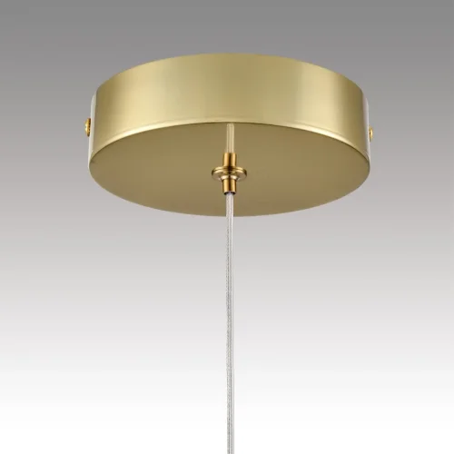 Светильник подвесной LED Trino 8080/1A Lumion прозрачный на 1 лампу, основание золотое в стиле современный фото 9