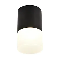 Светильник накладной LED Naram 3070-1C Favourite чёрный белый 1 лампа, основание чёрное в стиле современный круглый