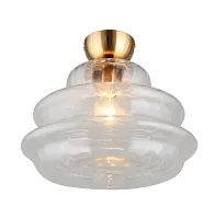 Светильник потолочный Liana APL.303.07.01 Aployt прозрачный 1 лампа, основание бронзовое в стиле современный выдувное