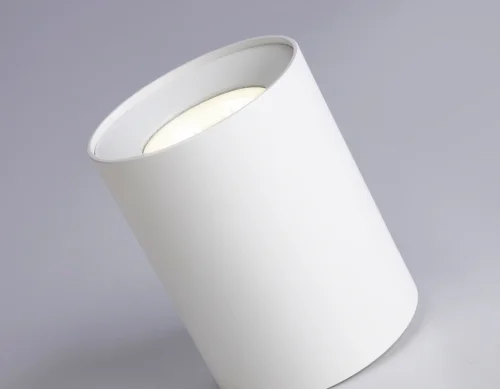 Светильник накладной TN213136 Ambrella light белый 1 лампа, основание белое в стиле хай-тек современный круглый фото 4