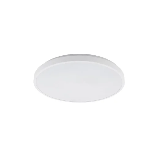 Светильник потолочный Agnes Round Pro 10978-NW Nowodvorski белый на 1 лампу, основание белое в стиле современный 