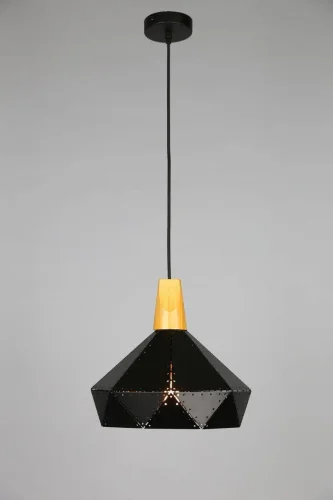 Светильник подвесной лофт Амеди (Amedea) OML-90306-01 Omnilux чёрный на 1 лампу, основание чёрное в стиле лофт фото 2