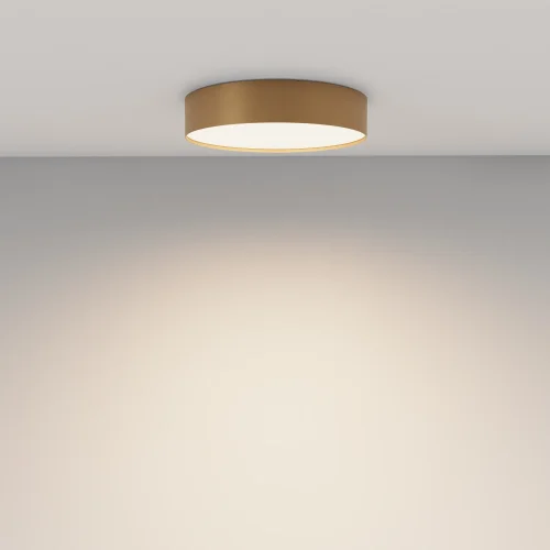 Светильник потолочный LED Zon C032CL-36W4K-RD-MG Maytoni белый на 1 лампу, основание матовое золото в стиле современный круглый тарелка фото 11