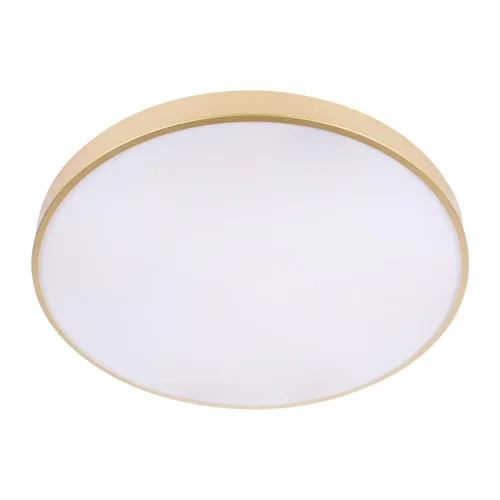 Светильник потолочный LED Flims 10228/B LOFT IT белый 1 лампа, основание золотое в стиле современный  фото 5