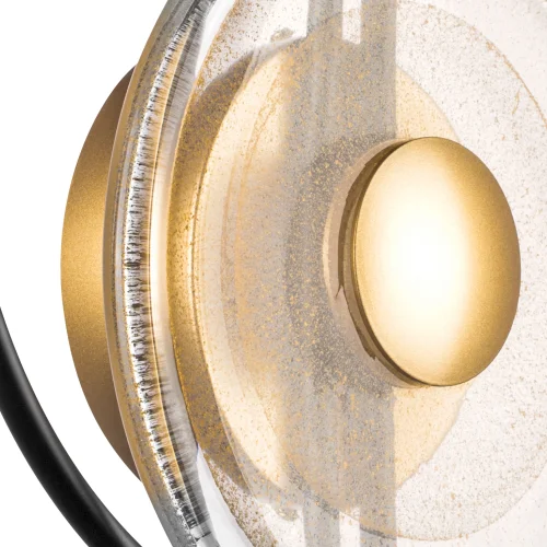 Бра LED Erica 609622 Lightstar прозрачный на 1 лампу, основание золотое чёрное в стиле современный арт-деко фото 5