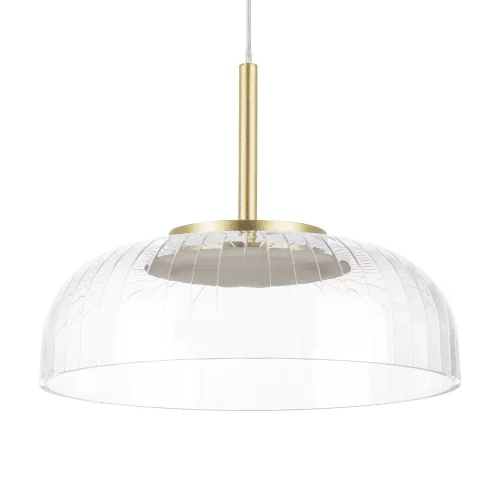 Светильник подвесной LED Acrile 738073 Lightstar прозрачный 1 лампа, основание золотое в стиле минимализм хай-тек современный  фото 5