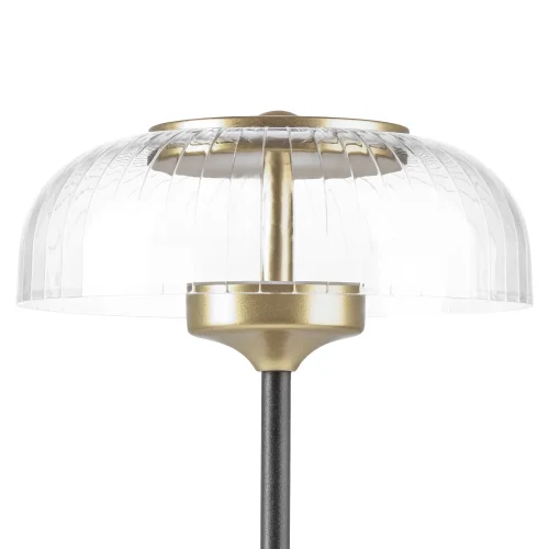 Настольная лампа LED Acrile 738973 Lightstar прозрачная 1 лампа, основание золотое чёрное металл в стиле современный хай-тек минимализм  фото 5