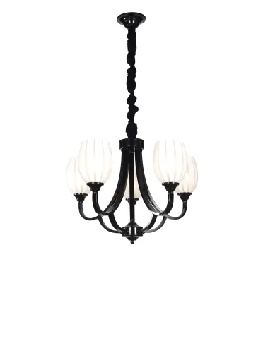 Люстра подвесная MADRID 116.5 Lucia Tucci белая на 5 ламп, основание чёрное в стиле классический 