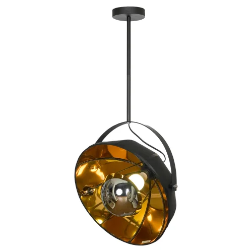 Светильник подвесной Klamath LSP-0556-C80 Lussole чёрный золотой 1 лампа, основание чёрное в стиле лофт 