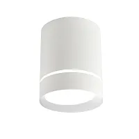 Светильник накладной Darar 3064-1C Favourite белый 1 лампа, основание белое в стиле современный круглый
