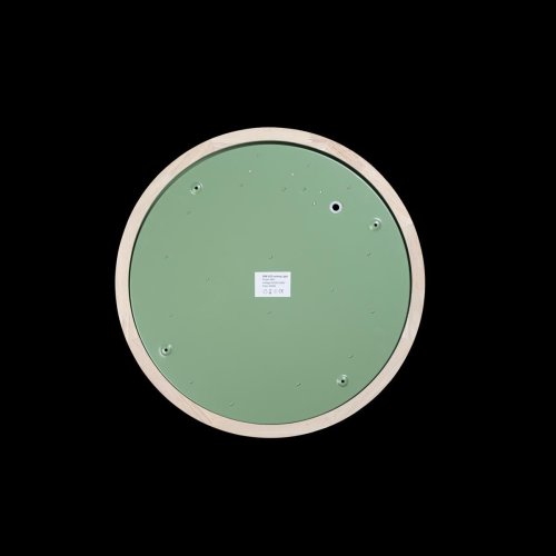 Светильник потолочный LED Axel 10001/36 Green LOFT IT белый 1 лампа, основание зелёное в стиле современный  фото 2