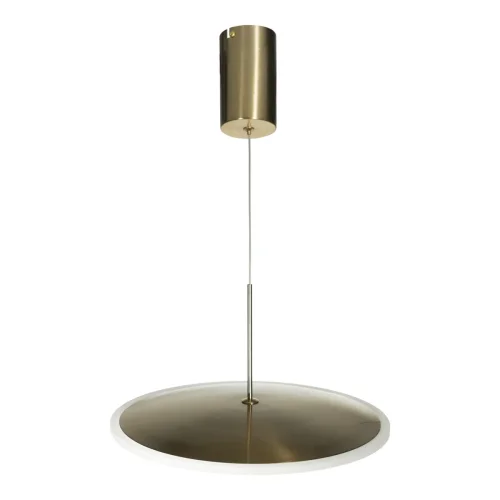 Светильник подвесной LED Ruedo 10036/300 LOFT IT золотой 1 лампа, основание золотое в стиле хай-тек модерн  фото 5
