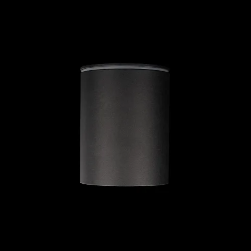 Светильник накладной Rush 10344 Black LOFT IT чёрный 1 лампа, основание чёрное в стиле современный хай-тек трубочки фото 4