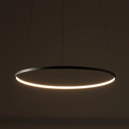 Светильник подвесной LED Circolo Led M 11403-NW Nowodvorski зелёный на 1 лампу, основание зелёное в стиле современный кольца фото 2