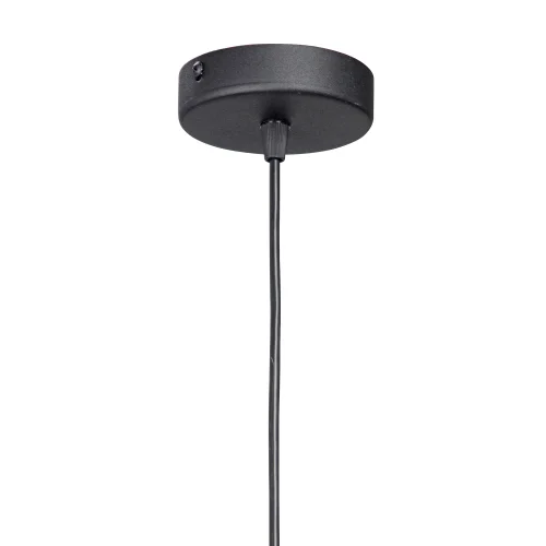 Светильник подвесной V2927-1/1S Vitaluce прозрачный 1 лампа, основание чёрное в стиле арт-деко  фото 3