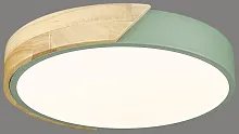 Светильник потолочный LED 445-407-01 Velante белый 1 лампа, основание коричневое зелёное в стиле современный кантри тарелка